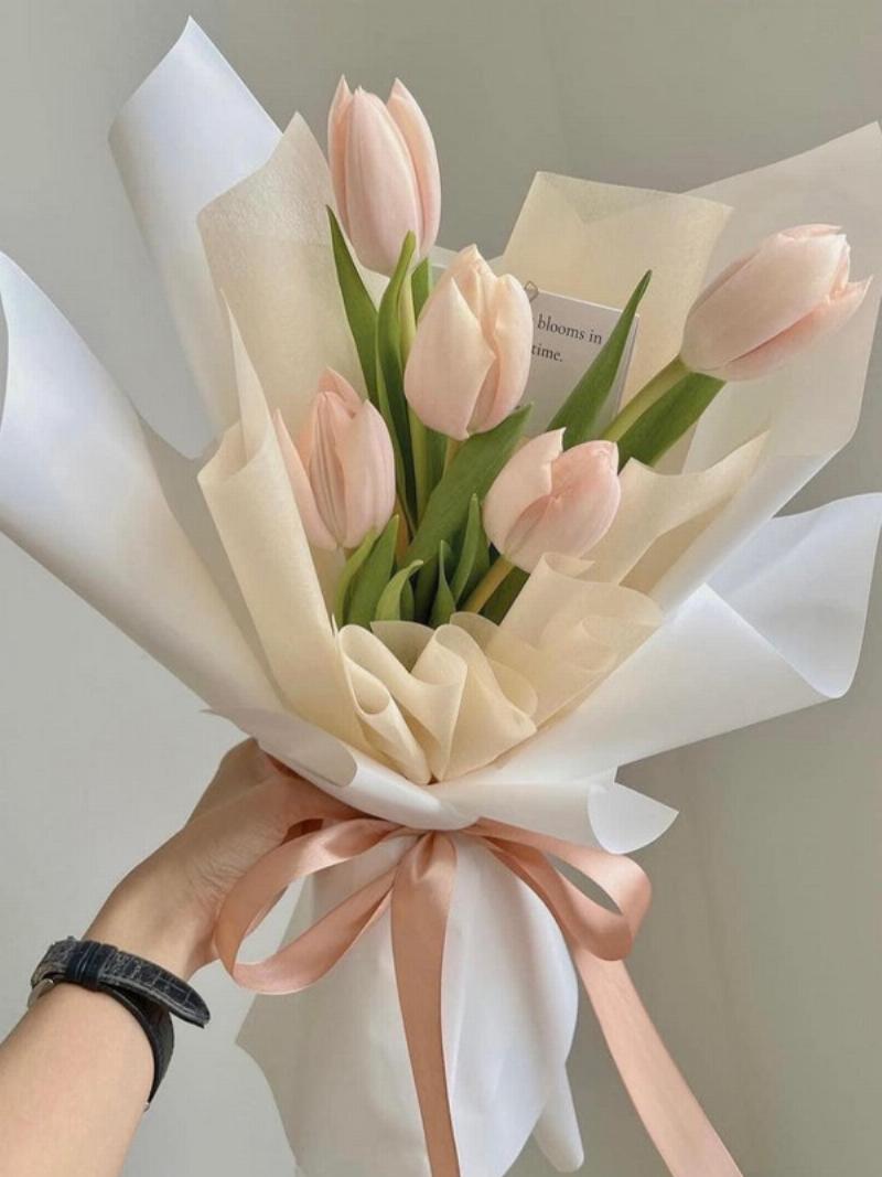 Ảnh Hoa Tulip Chúc Mừng Sinh Nhật Người Yêu