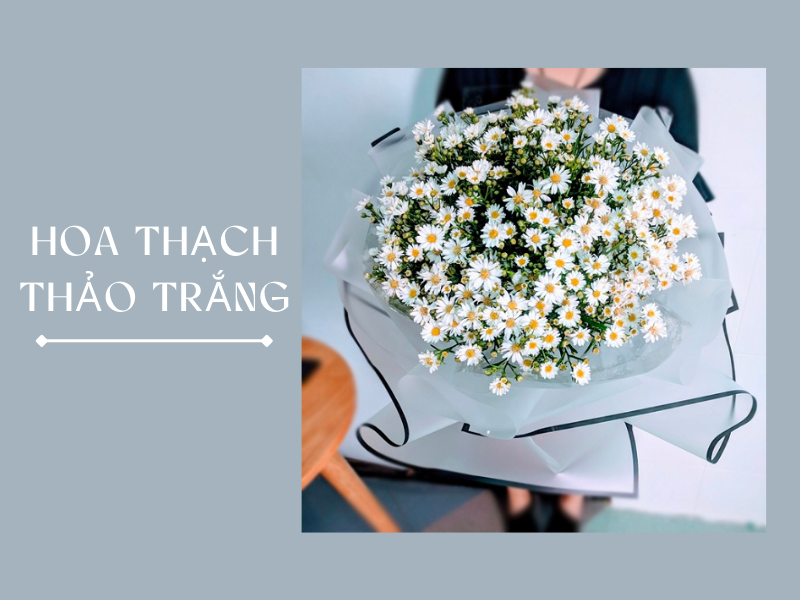 Bó hoa thạch thảo trắng tặng người yêu