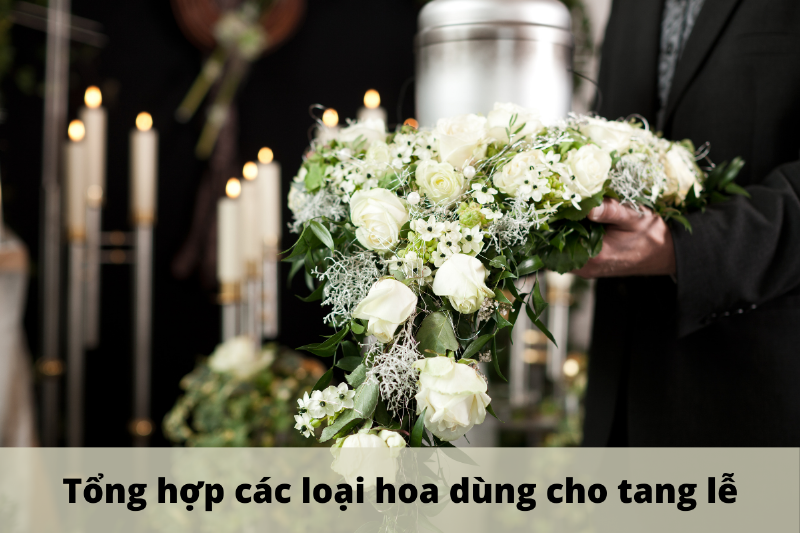 Các loại hoa phù hợp đám ma