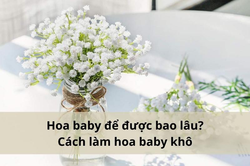 Cách chăm sóc hoa baby tươi: Giữ hoa tươi lâu