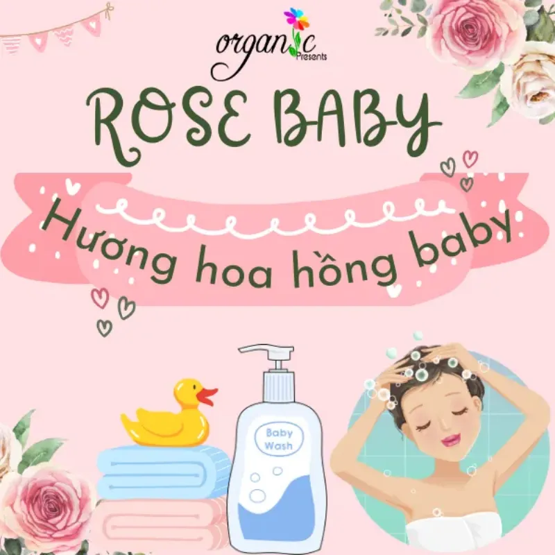 Chăm sóc hoa hồng baby