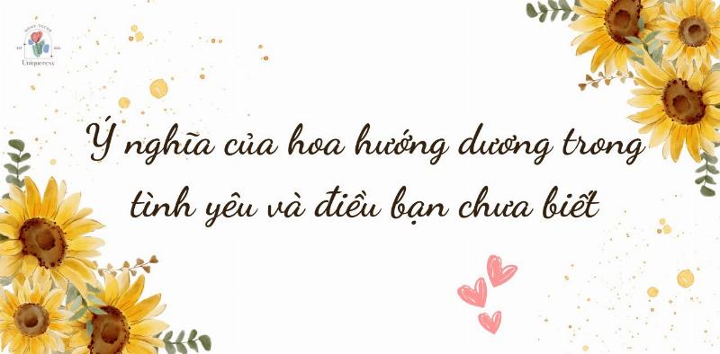 Hoa hướng dương tỏ tình