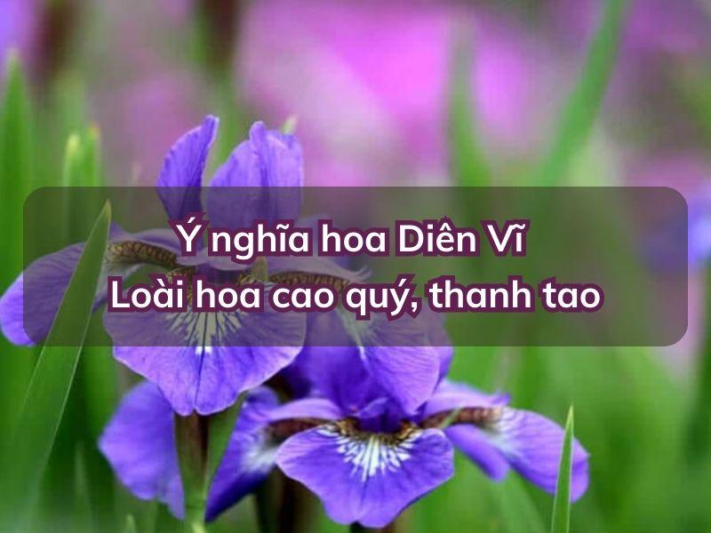 Hoa Sinh Nhật Đẹp và Ngôn Ngữ Của Các Loài Hoa