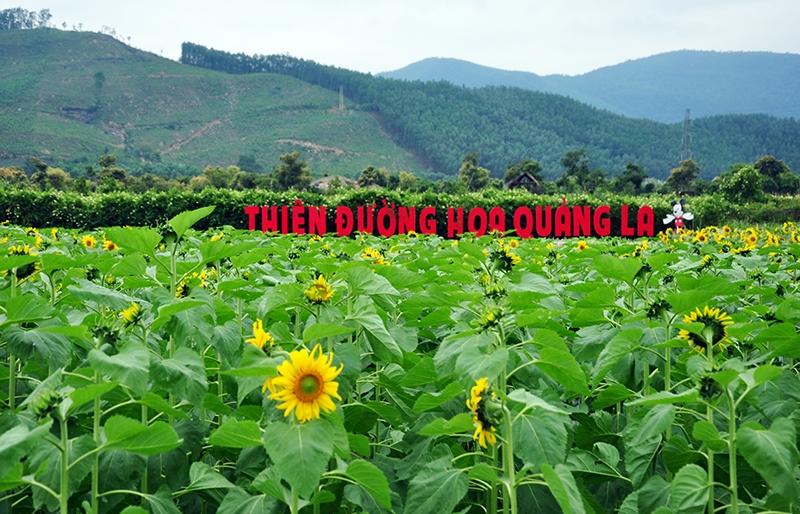 Lá Hoa Hướng Dương Hướng Quang