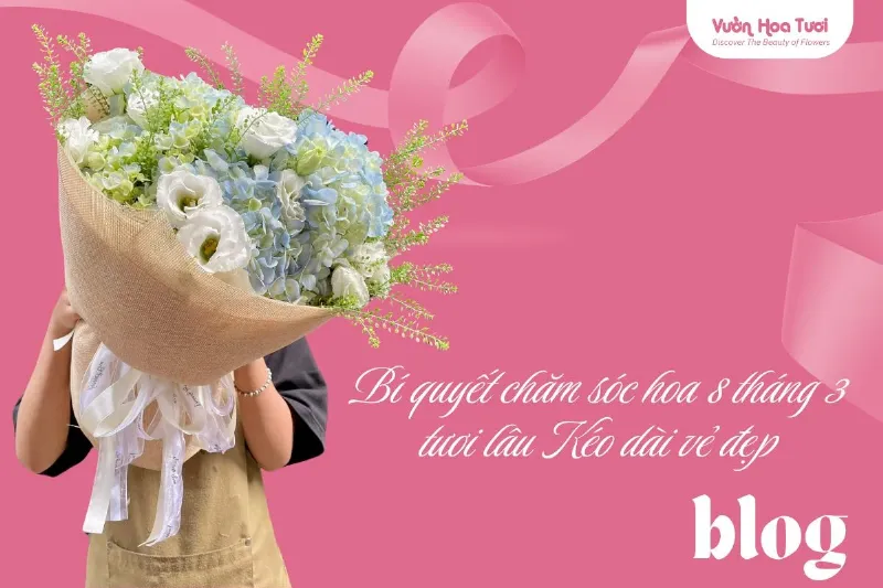 Mẹo chăm sóc lẵng hoa sinh nhật sang trọng để hoa tươi lâu