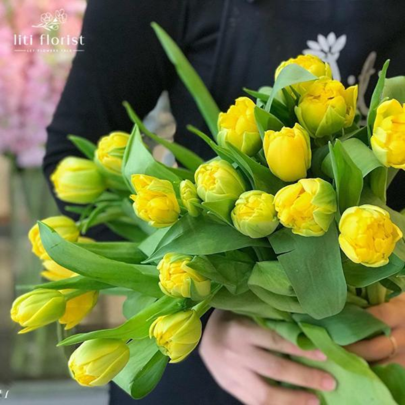 Ý nghĩa hoa tulip cam, hồng, tím, đen