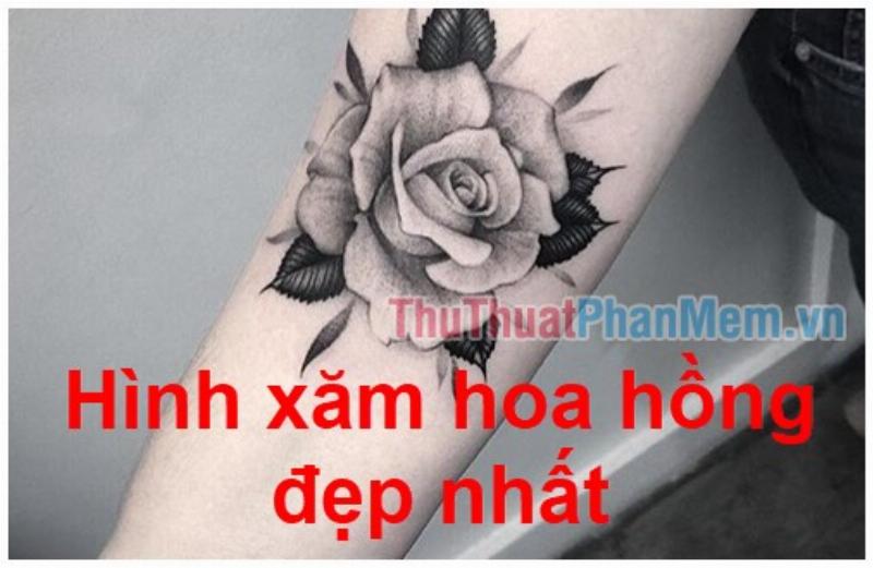 Ảnh Hoa Hồng Đen Trong Nghệ Thuật