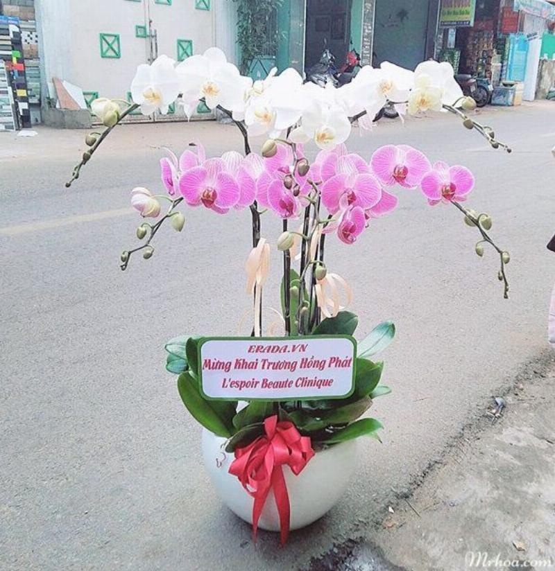 Banner ghi lời chúc mừng trên lãng hoa khai trương