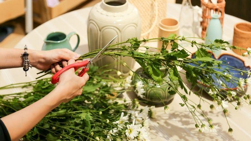 Bảo quản hoa cúc họa mi trắng tươi lâu