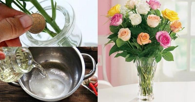 Bảo quản hoa hồng đẹp nhất: Mẹo giữ hoa tươi lâu