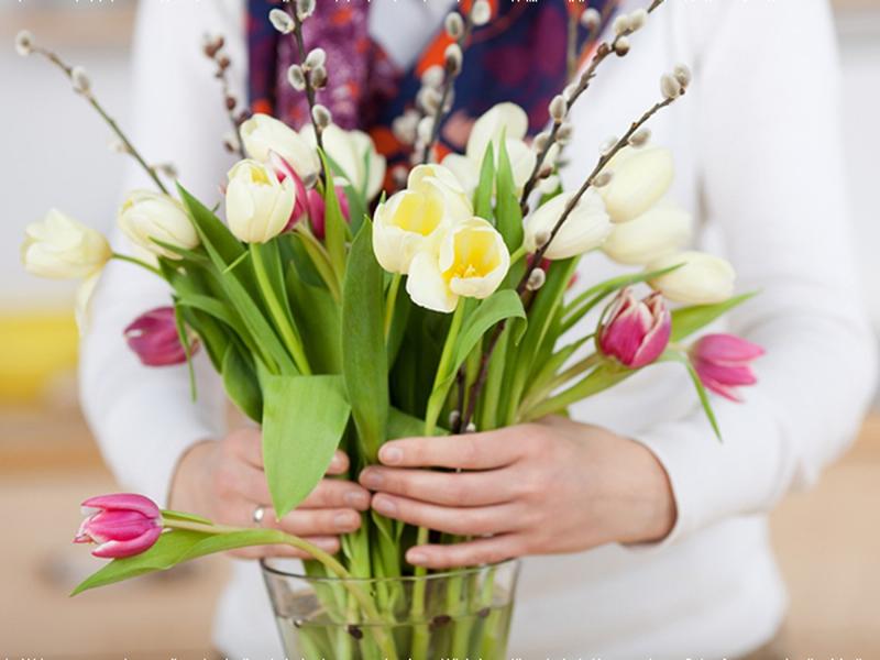 Bí quyết chọn hoa sao xanh tươi lâu