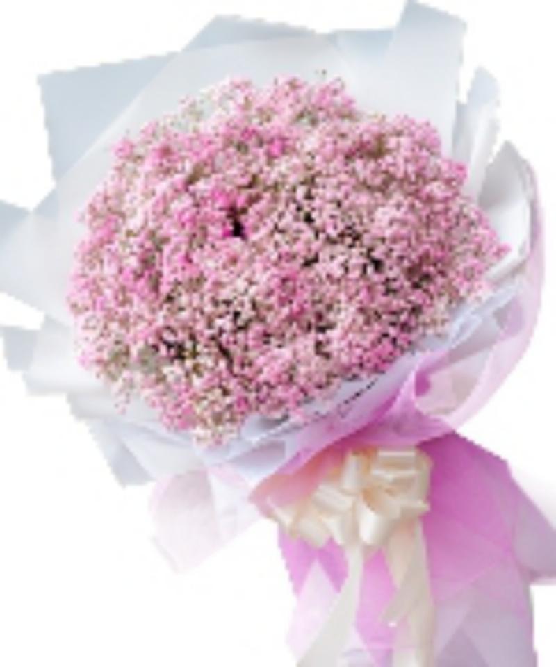 Một bó hoa tulip màu sắc tươi sáng được buộc ruy băng tinh tế, biểu tượng cho hoa ngày quốc tế phụ nữ rạng rỡ.