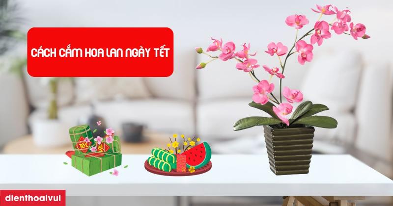 Các bước cắm hoa lan cành