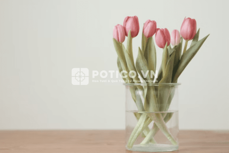 Cách cắm hoa tulip đúng cách để giữ hoa tươi lâu