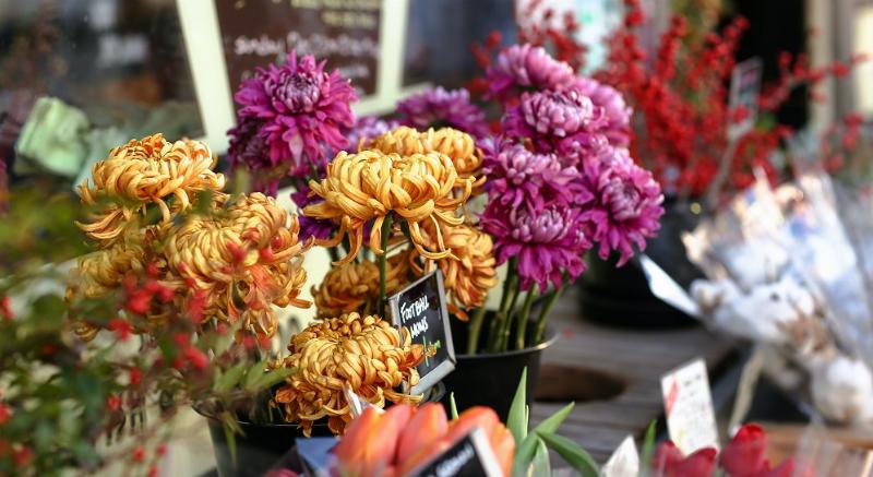 Hướng dẫn cách cắt cuống hoa sen để giữ hoa tang lễ tươi lâu nhất
