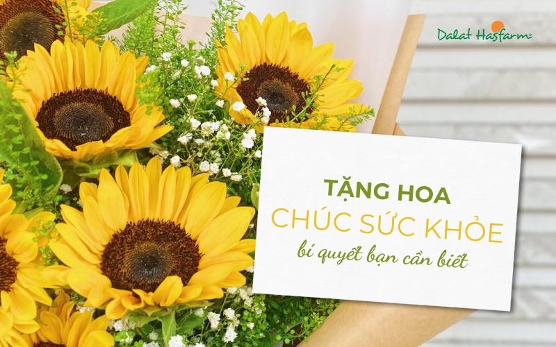 Cận cảnh những bông hoa mẫu đơn tươi tắn trong bình, minh họa cách chăm sóc hoa để giữ được vẻ đẹp rạng ngời