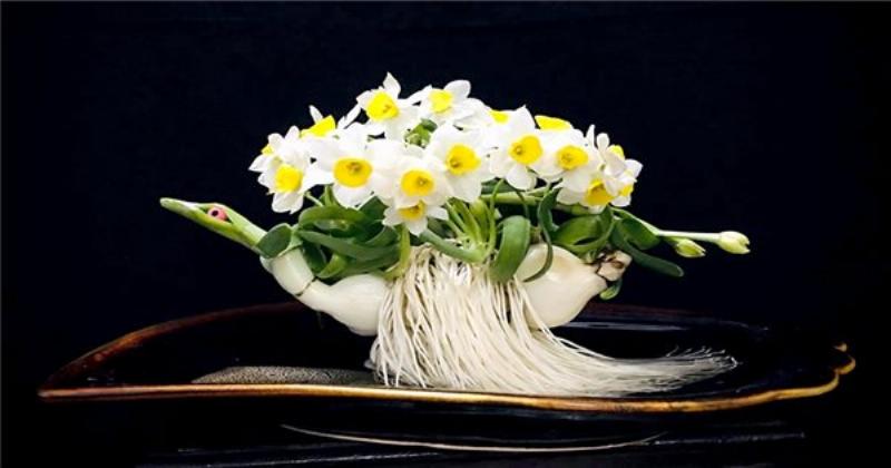 huong-dan-cham-soc-hoa-thuy-tien-don-gian