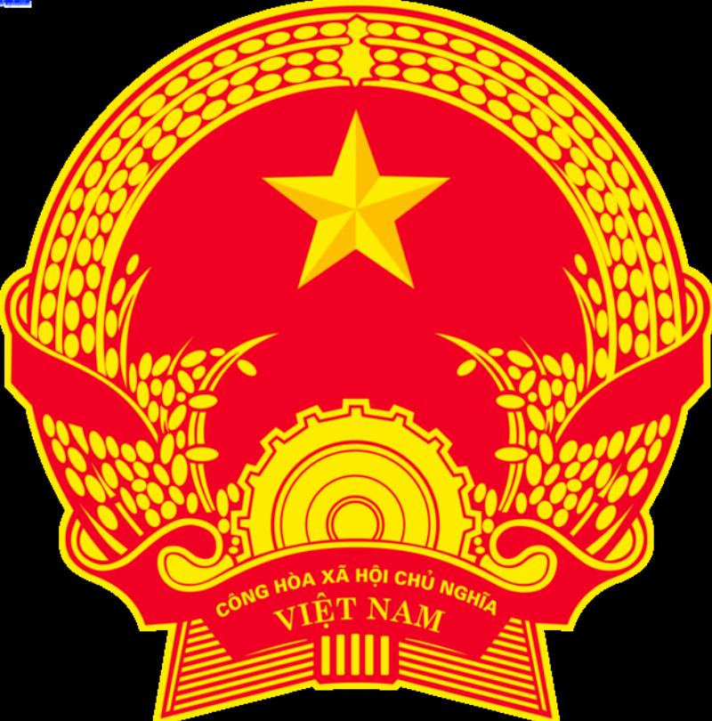 Hinh anh mot nguoi dang lua chon nhung cu hoa thuy tien chat luong cao tu mot cua hang hoa, chuan bi cho viec trong hoac cam