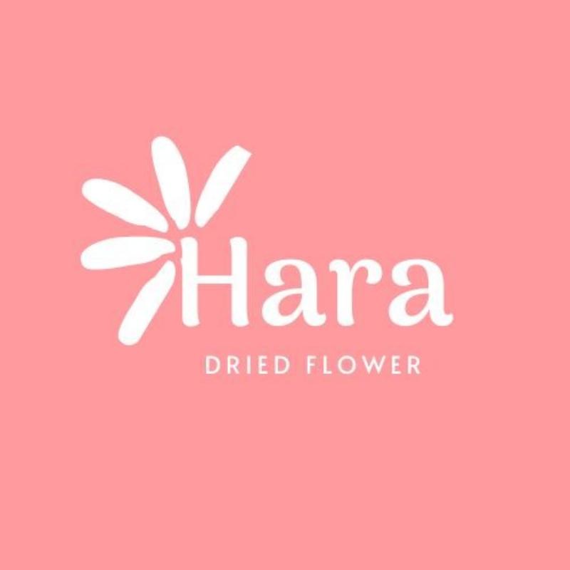 Cắm hoa cẩm tú cầu đơn giản trong lọ thủy tinh trang trí nhà cửa