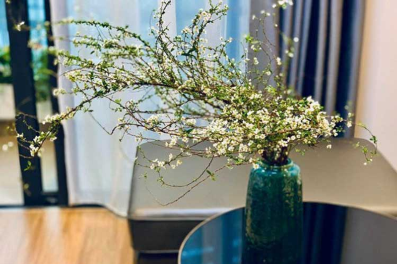 Cắm hoa cúc họa mi kết hợp nhiều loại hoa, tạo nên những bình hoa độc đáo