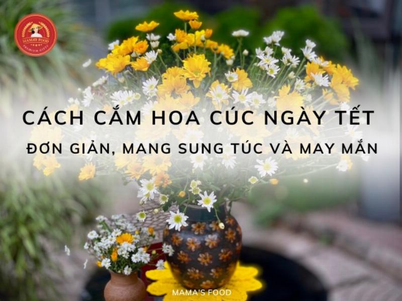 Cắm Hoa Cúc Kim Cương Tại Nhà