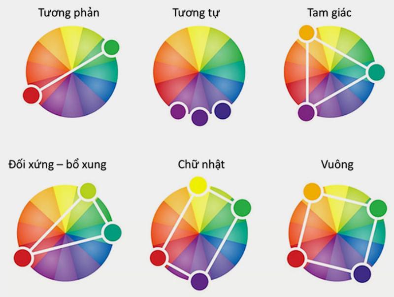 Cắm hoa với sắc tím