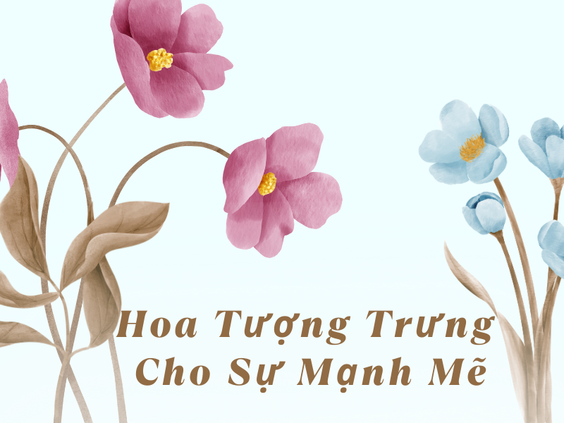 cam-tu-cau-xanh-bieu-tuong-suc-song-manh-liet