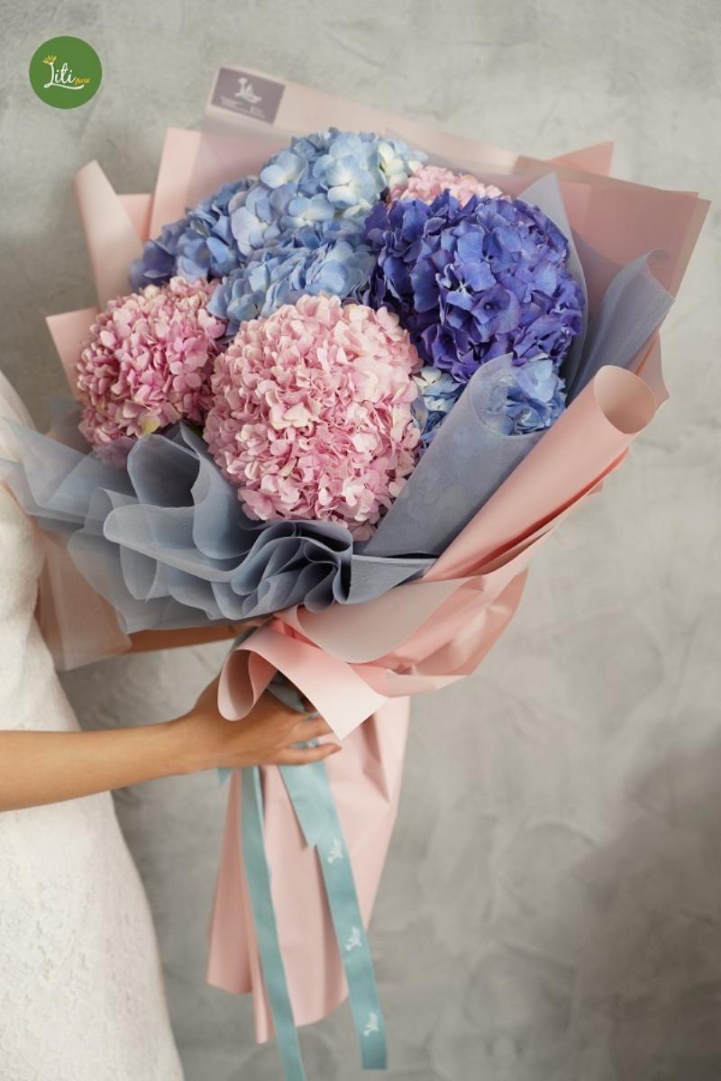 Bí quyết chăm sóc cẩm tú cầu xanh dương