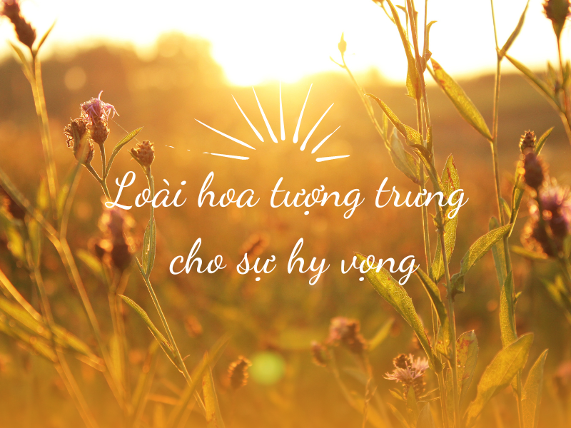 cam-tu-cau-xanh-la-bieu-tuong-cho-su-hy-vong-va-niem-tin