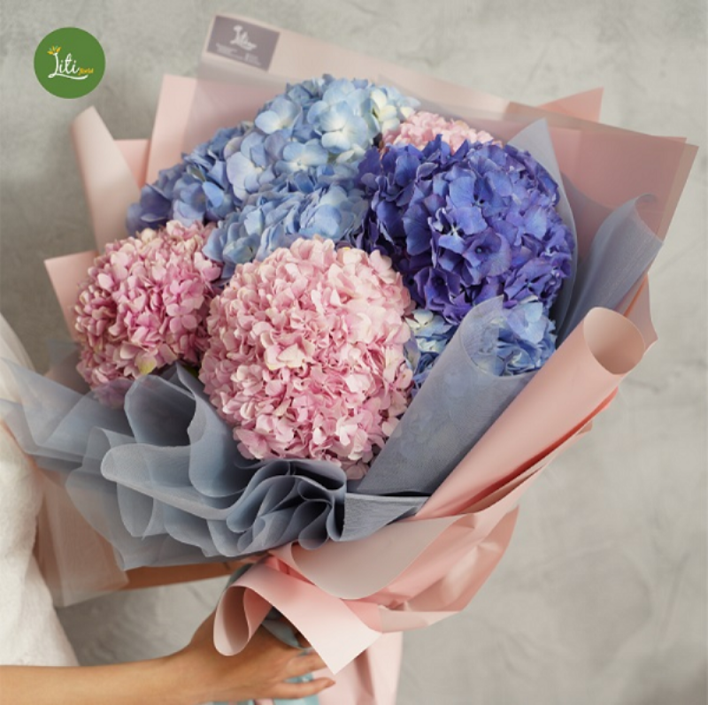 Cẩm tú cầu xanh trong văn hóa phương Đông