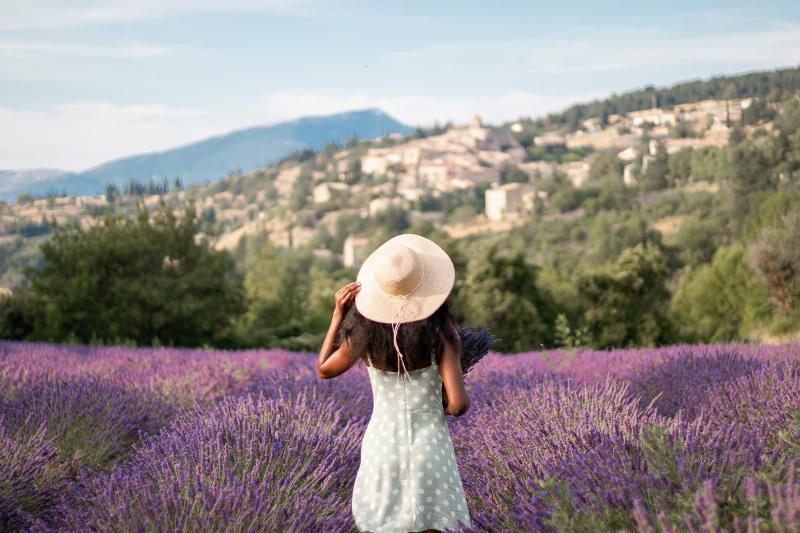 Canh dong hoa oai huong tim bat ngat duoi nang vang o Provence, Phap
