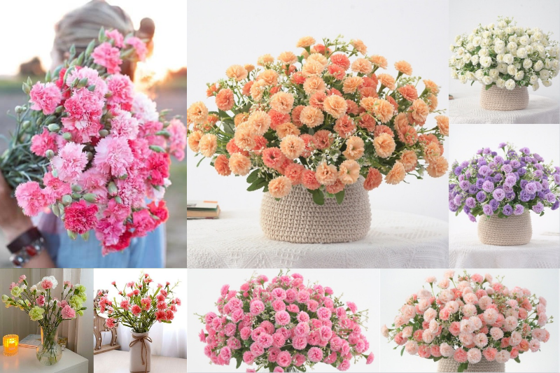 Hướng dẫn cách chăm sóc hoa phăng đỏ để giữ độ tươi lâu, bảo toàn ý nghĩa hoa phăng đỏ và vẻ đẹp rực rỡ.