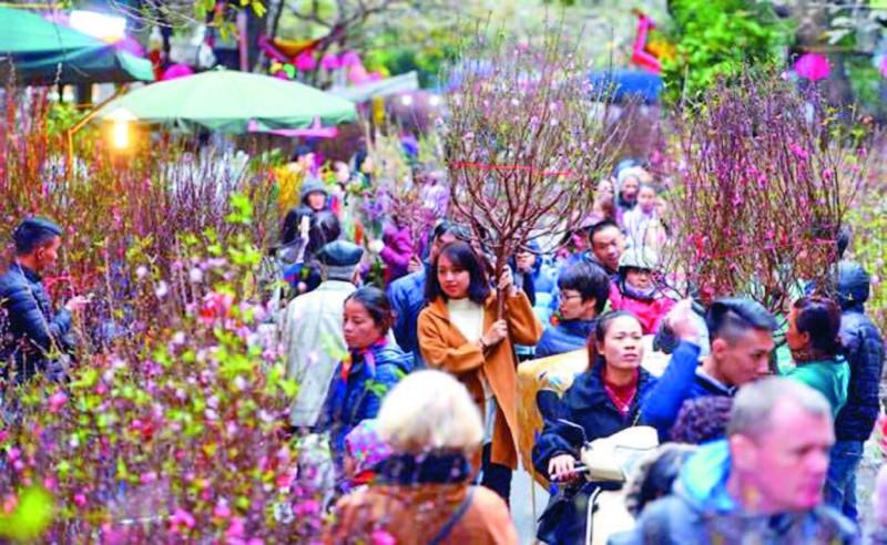 Gần đây một cành hoa ly tươi với nụ hoa căng mọng và lá xanh mướt, minh họa bí quyết chọn hoa ly tươi lâu.