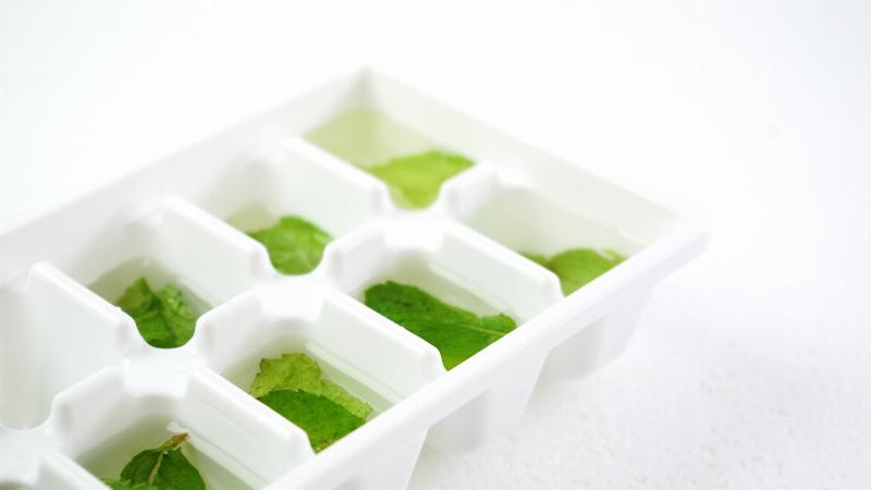 Các bước chuẩn bị lá bạc hà tươi mát cho việc cắm hoa, đảm bảo độ bền và vẻ đẹp