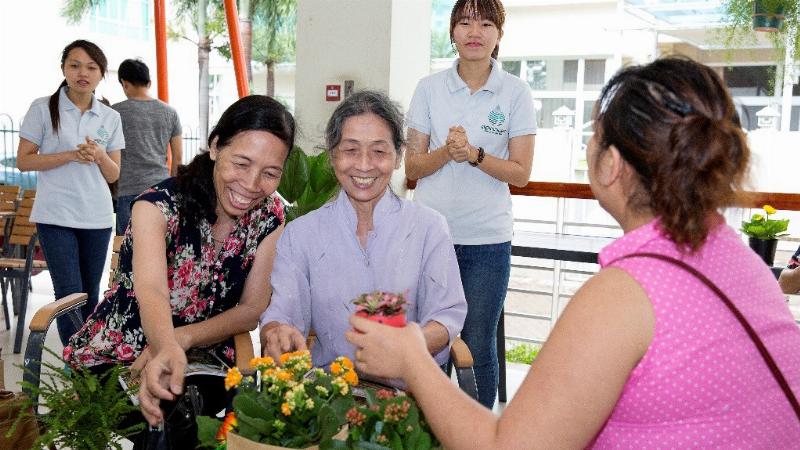Hình ảnh mọi người đang chia sẻ kinh nghiệm chăm sóc cây cảnh trong nhà