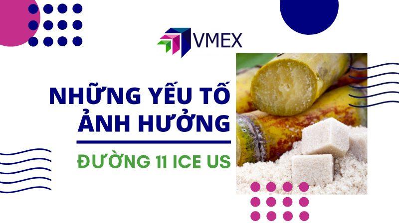 Tìm hiểu về giá hoa hướng dương và các yếu tố ảnh hưởng đến giá
