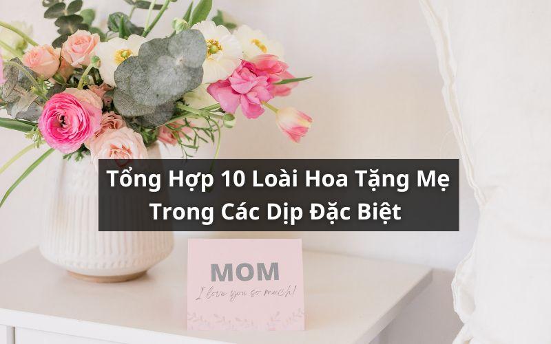 Hình ảnh bó hoa cẩm chướng màu hồng pastel nhẹ nhàng, tượng trưng cho tình mẫu tử ấm áp và lòng biết ơn sâu sắc