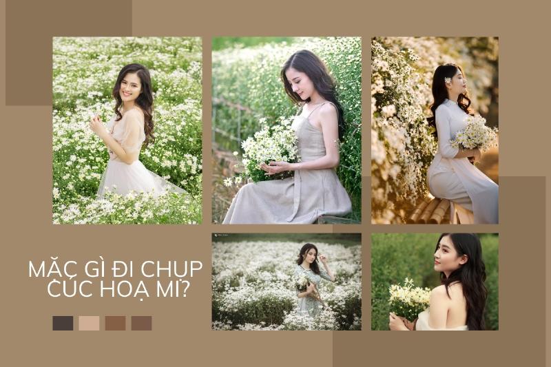 Ảnh một bông hoa cúc họa mi trắng đơn độc trên nền tối, tạo hiệu ứng tương phản mạnh và làm nổi bật vẻ đẹp tinh khôi của hoa