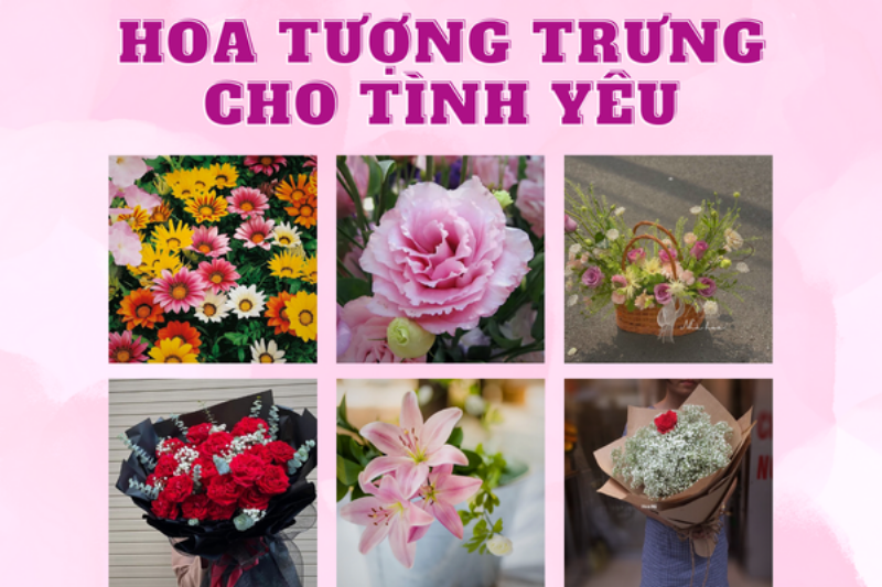 Hoa Hồng Đỏ - Biểu Tượng Tình Yêu Vĩnh Cửu