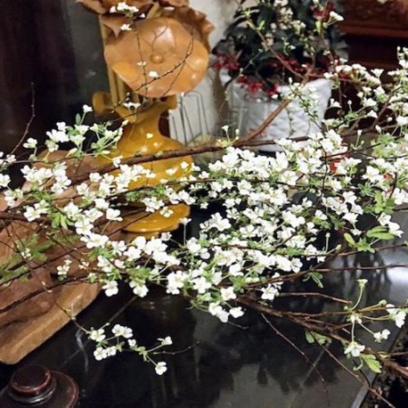 Một góc trưng bày hoa hồng xanh dương tại cửa hàng Lela Flower, thể hiện sự chuyên nghiệp và đa dạng sản phẩm.