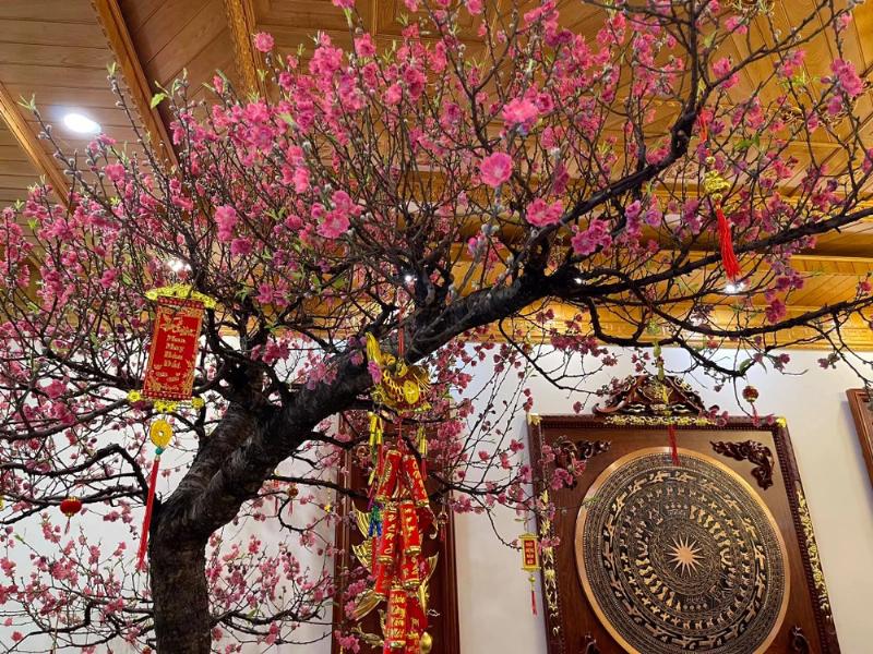 Cành hoa mai nở rộ giữa mùa đông, biểu tượng cho sự kiên cường và hy vọng trong văn hóa trung quốc.
