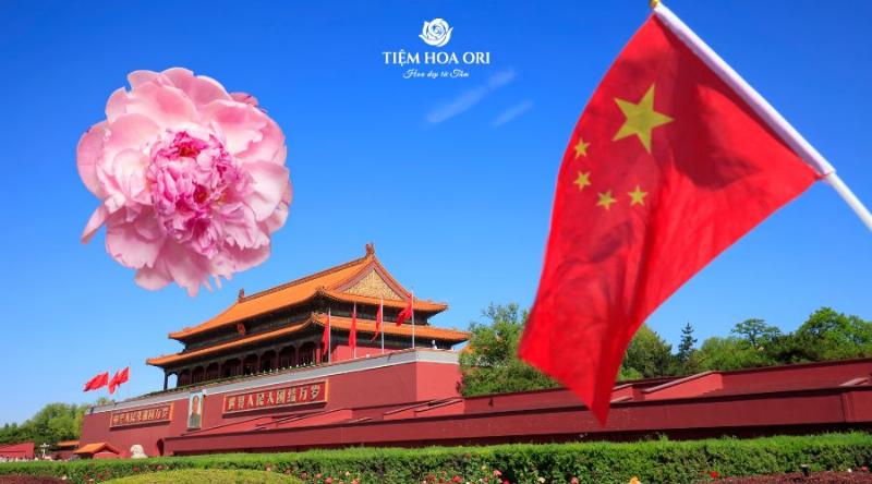 Hoa mẫu đơn rực rỡ, biểu tượng cho sự giàu sang và thịnh vượng trong văn hóa trung quốc.