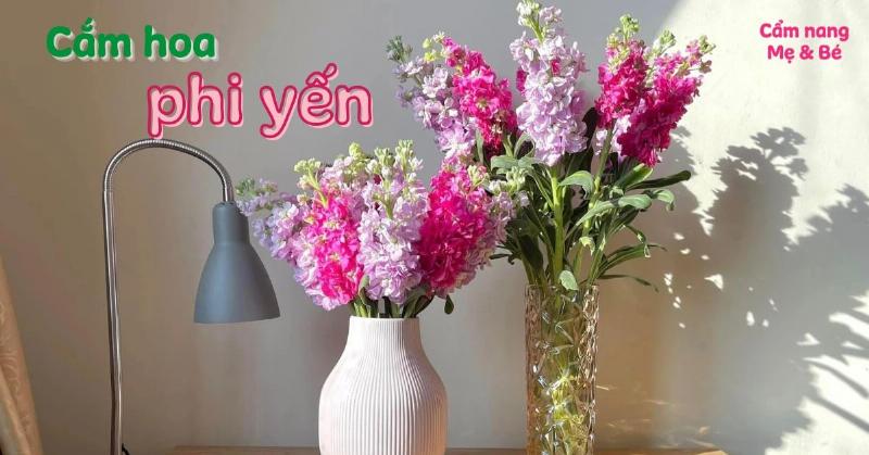 Hoa phi yen mau xanh duong y nghia binh yen mo long
