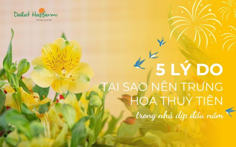 hoa-thuy-tien-trung-quoc-tet