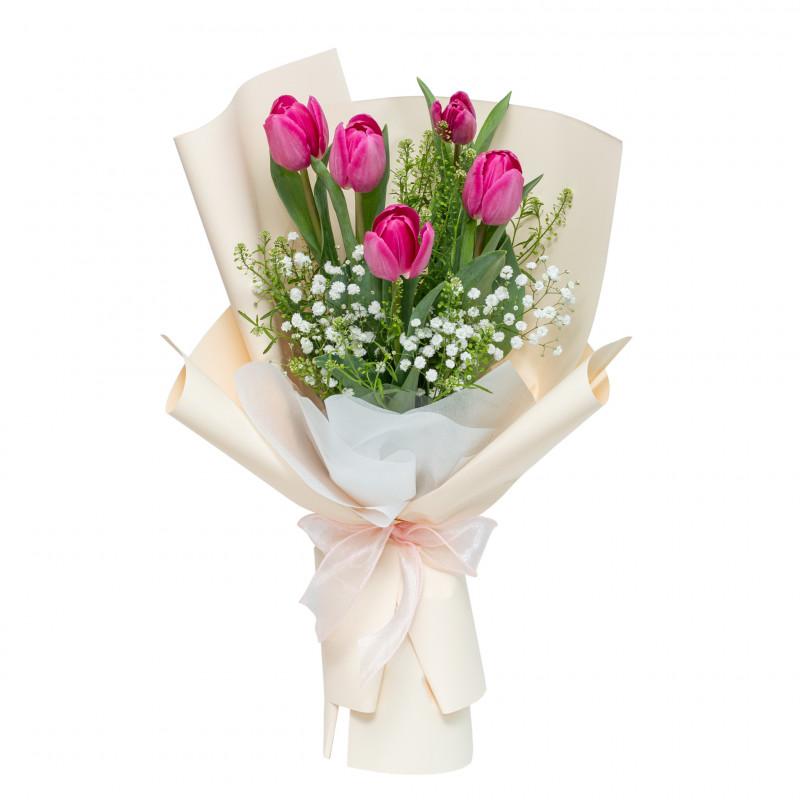 Hoa Tulip Đà Lạt Hasfarm đẹp nhất