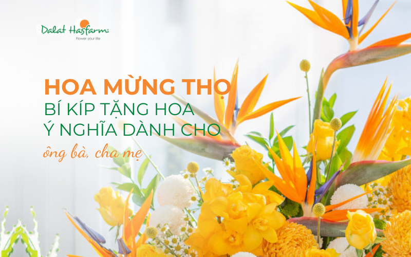 cach-chon-hoa-mung-tho-70-tuoi-cho-ong-ba-cha-me
