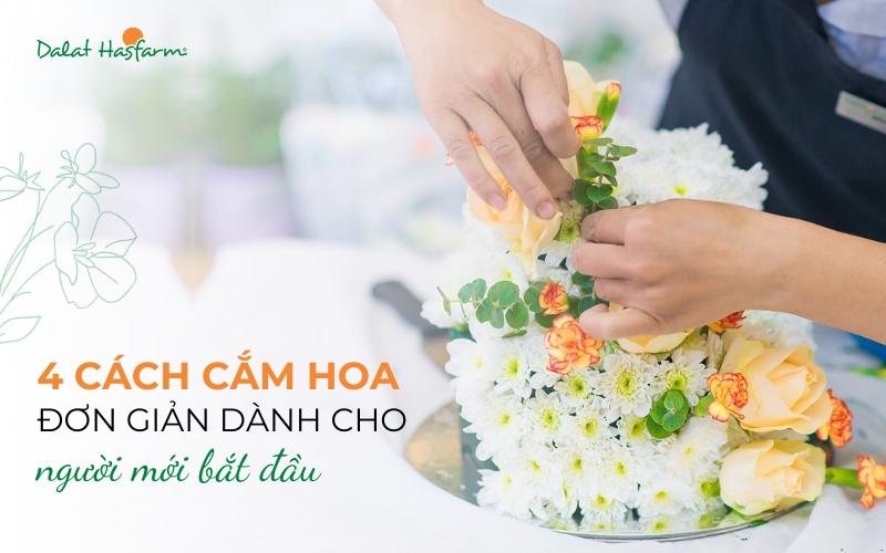 huong-dan-cam-hoa-hinh-tam-giac-cho-nguoi-moi-bat-dau