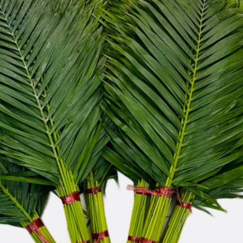 Lá cọ cắm hoa