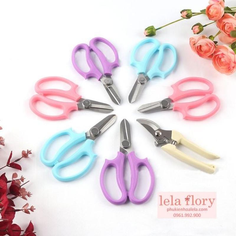Lela Flower - Bán lan cắt cành