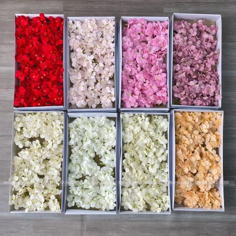 Hoa cẩm tú cầu xanh lá tại Lela Flower